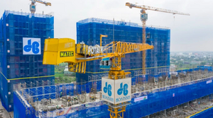 Quốc Cường Gia Lai và nhiều doanh nghiệp bán tài sản