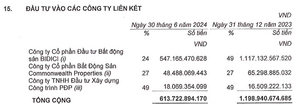 Đại gia bất động sản vốn hóa gần 17.000 tỷ đồng nhưng doanh thu vỏn vẹn 8 tỷ đồng, sống nhờ bán công ty con