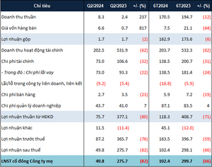 PDR thực hiện 12% kế hoạch năm sau 6 tháng, lộ diện bên nhận chuyển nhượng 25% vốn BIDICI