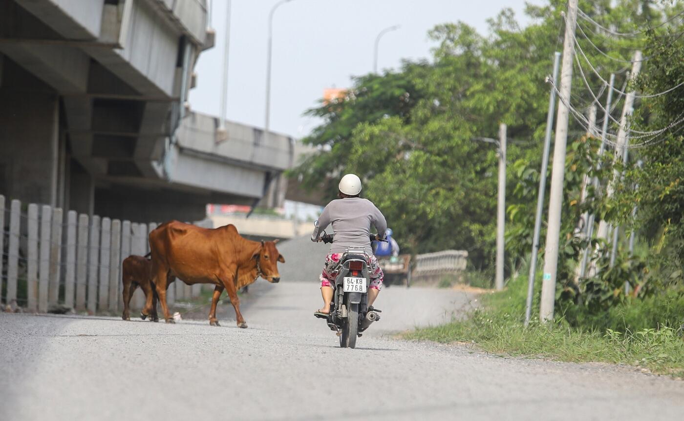 Cao tốc Bến Lức - Long Thành đoạn qua TP.HCM trước ngày thông xe - 11